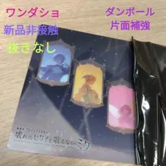 プロセカ 映画 特典 クリアカード 抜きなし ワンダショ 新品非接触