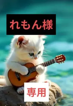 れもん様専用 フエラムネ