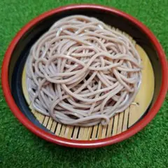 食品サンプル　ざる蕎麦 自分で作る食品サンプル製作キット｜さんぷるん「そば