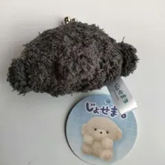 新品未使用　じょせまる ミニがまぐち コインケース