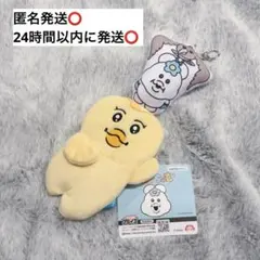んぽちゃむ リール付き ぬいぐるみパスケース　きみまろのサムネイル