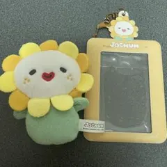 2026年最新】Bira トレカホルダーの人気アイテム - メルカリ