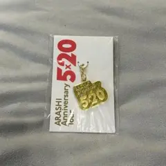 嵐 5×20 キーホルダー 緑