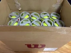 Wilson 硬式テニスボール ツアー スタンダード 15缶入り全60球 新品