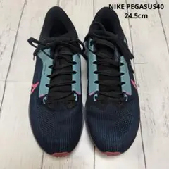 Item thumbnail for item 51d13f4c-706e-405d-99f4-9b9597ccaced