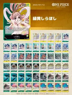 【緑黄しらほし　格安】　構築済みデッキ　早い者勝ち