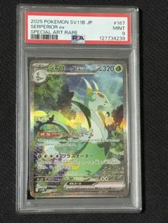 2025年最新】ジャローダ psa10の人気アイテム - メルカリ