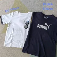 プーマ　GU　150cm　2枚　半袖Tシャツ