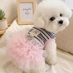 犬服　ワンピース　XSのサムネイル