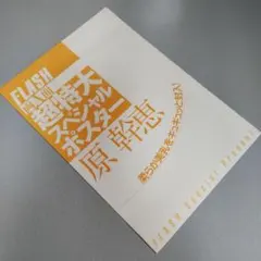 原幹恵★超特大スペシャルポスター★当時物★