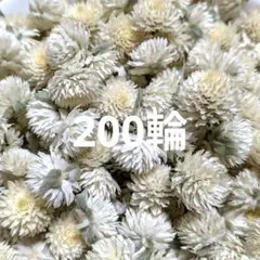 Item thumbnail for item 4d4ae877-2e29-4303-b47b-df6b235dd6f5