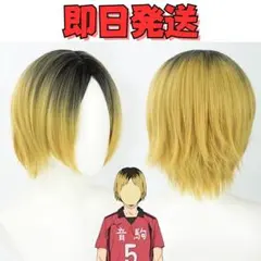 ○ハイキュー!! 孤爪研磨 こづめけんま ウィッグ コスプレ 衣装
