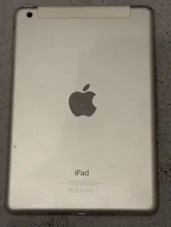 iPad mini 64GB 本体