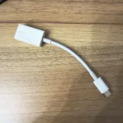 純正Apple USB-C to USB Adapter A1632