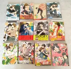 抱かれたい男1位に脅されています。 ファンブック セット 桜日梯子