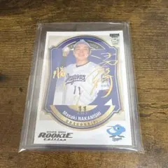 Item thumbnail for item 6a51a118-2d2f-4e45-b8b2-fbc108d719b5