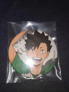 ハイキュー!!　音駒　黒尾鉄朗　クロ　中学生