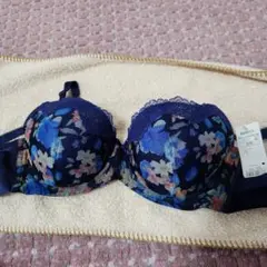 新品　トリンプブラジャー　E75