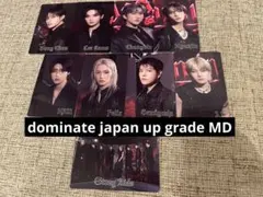 Stray Kids スキズ アプグレ アップグレード  トレカ