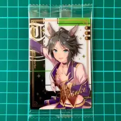 フジキセキ　ウマ娘　ツインウエハース　Special R 2025