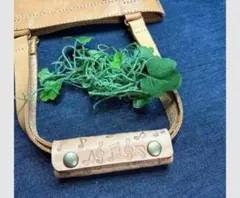 Item thumbnail for item d5c70c20-5203-4654-acc8-9528e564c135