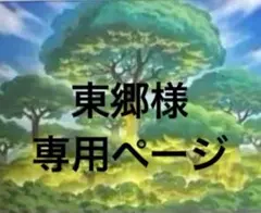 東郷様　専用ページ　まとめ売り