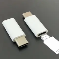 【2個】 Lightning - USB-C 変換アダプタ データ転送 充電