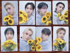 Straykids スキズ 会場限定 トレカ 9/6 名古屋 コンプ 8枚 - メルカリ