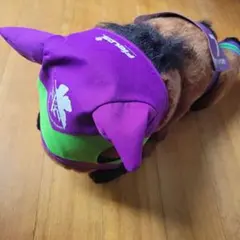 Item thumbnail for item 06f2fe10-0dbc-4e6d-8fb9-2a87bd7c2e20