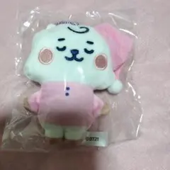 BT21ふわふわマスコット RJ