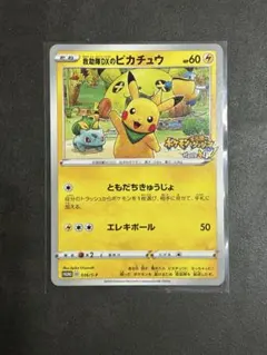 救助隊DXのピカチュウ