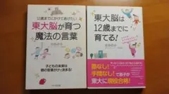 Item thumbnail for item 770f7beb-f64e-431c-a92f-0ce9604b247f