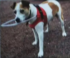 Item thumbnail for item 8db151bc-7544-43d3-a061-055c411e36f4