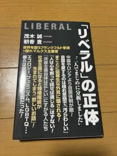 Item thumbnail for item 2ece0991-eaee-4737-87cd-d22027bdc23e