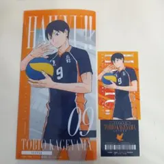 ハイキュー!! 一番くじ 最強の挑戦者 影山飛雄 Ｅ賞