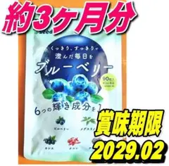 ブルーベリー約3ヶ月分90粒サプリメント シードコムス