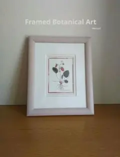 2026年最新】ボタニカルアート 額の人気アイテム - メルカリ