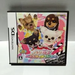 任天堂DS ワンタメバラエティチャンネル