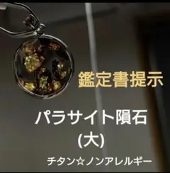 【パラサイト隕石】ペンダントトップ チタン製