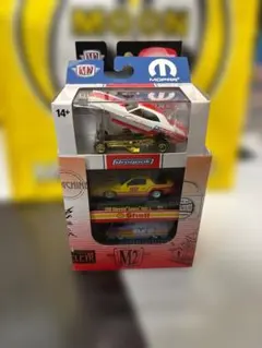 M2 Machines Moon 1960 VW デリバリーバン 1/24 - メルカリ