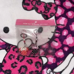 東京ディズニーリゾート ミニーマウス ミラーストラップ 2個セット ドット