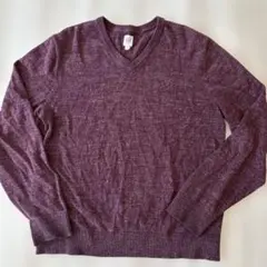 GAP Vネック ニットセーター