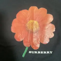 BURBERRY 半袖Tシャツ 2サイズのサムネイル