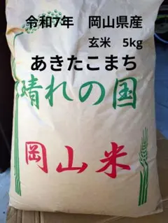 3 R7年 自然栽培 ミズホチカラ玄米粉1kg - メルカリ