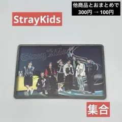 ARMY863様 リクエスト 2点 まとめ商品