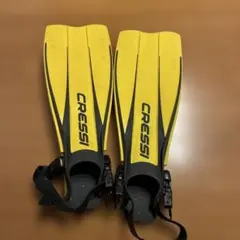 Item thumbnail for item 89276a44-7424-4051-9ebc-83484f60cc4e