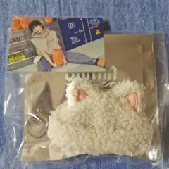 straykids ランダムボアキャップ　ステッカー　アイエン