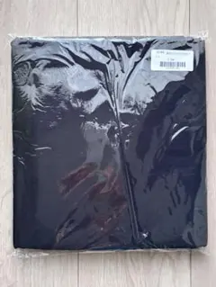 チェックアンドストライプ未使用生地2m 幅広ワッシャーライトチノクロス黒