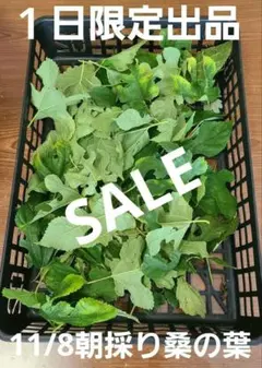 Item thumbnail for item 69ec3cb1-b420-4151-9213-1a4270f8d784