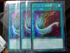ハーピィの羽根帚 3枚セット